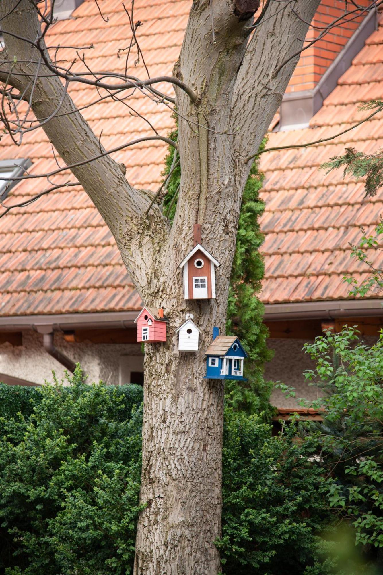 Villa Julius Sopot Esterno foto